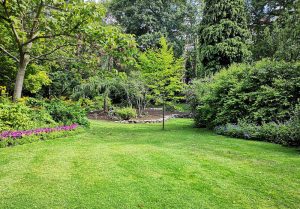 Optimiser l'expérience du jardin à Boissets